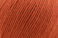 Deluxe Worsted Superwash - Terracotta