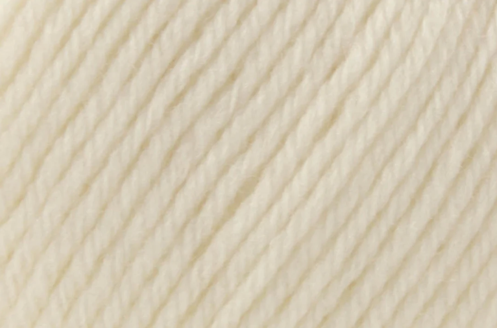 Deluxe Worsted Superwash - Pulp