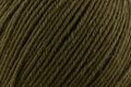 Deluxe Worsted Superwash - Forest