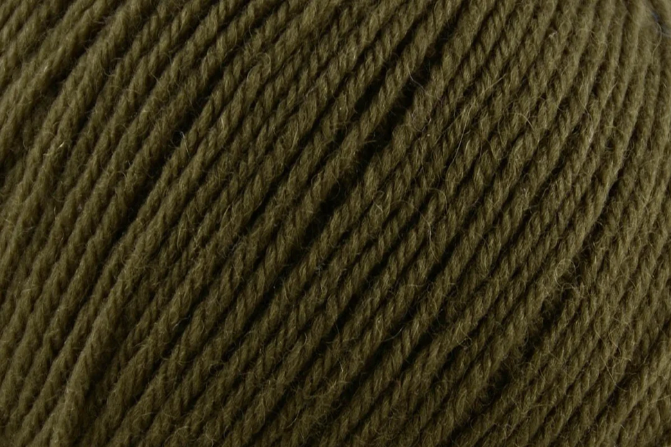 Deluxe Worsted Superwash - Forest